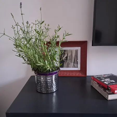 Gorgeous Flat With Opera View * Catania