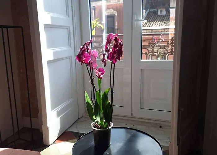 Gorgeous Flat With Opera View * Catania